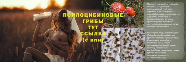 каннабис Арсеньев