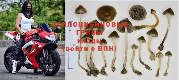 каннабис Арсеньев