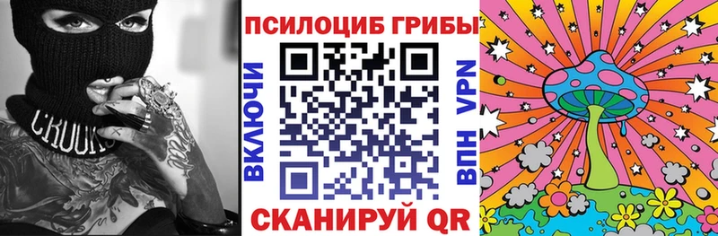 Псилоцибиновые грибы мицелий  Купить  Гулькевичи 
