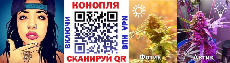 Купить  Гулькевичи  Канабис гибрид 